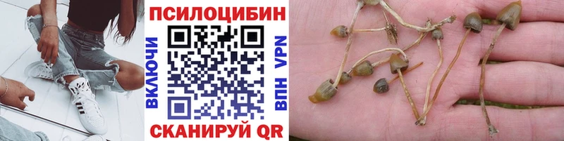 Купить закладки  Тавда  Галлюциногенные грибы GOLDEN TEACHER 