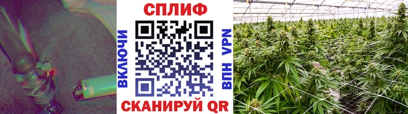 Купить где  Тавда  Бошки марихуана гибрид 